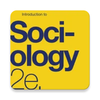 Introduction to Sociology Book